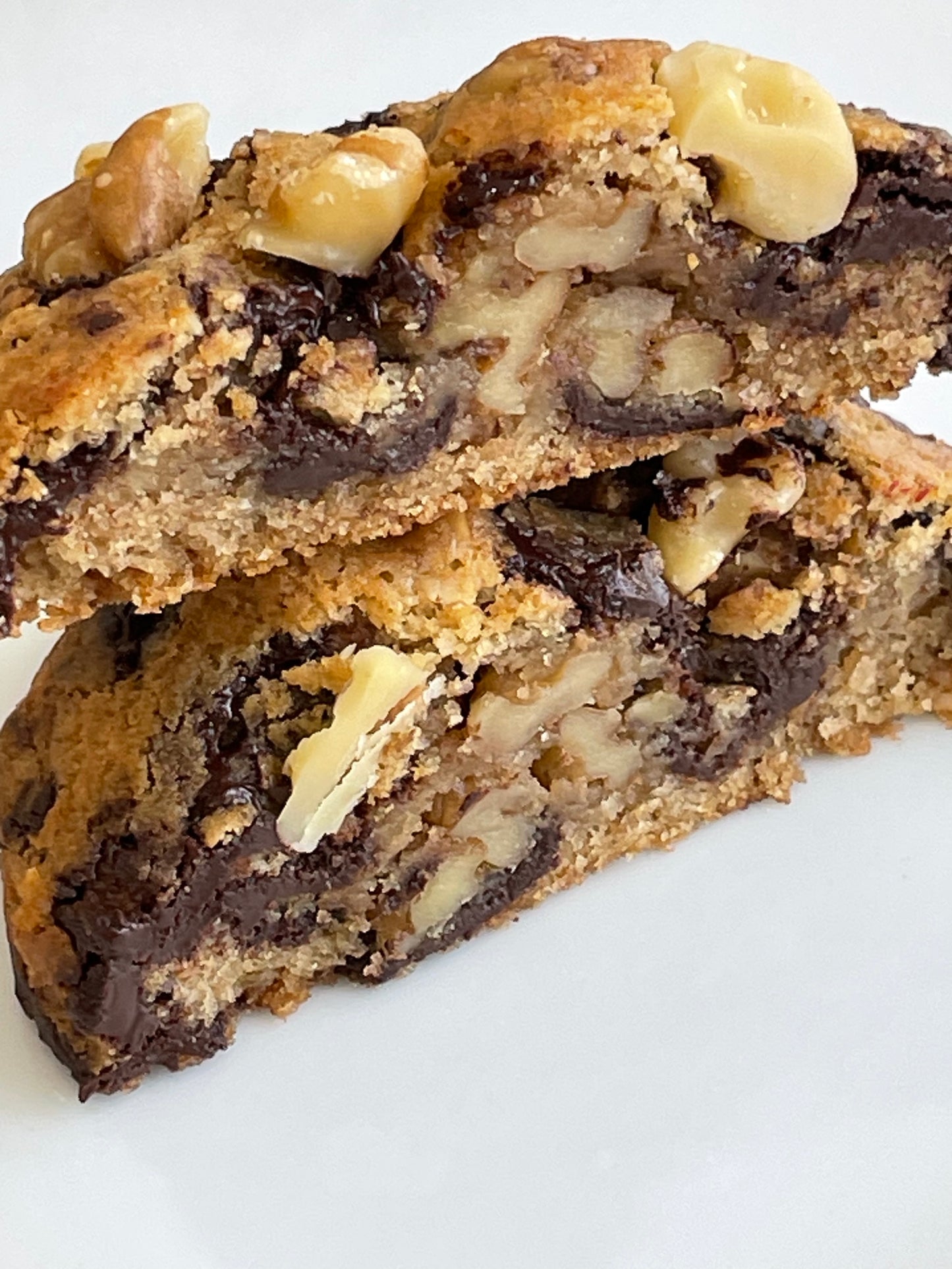 Chocolate Walnut Cookie